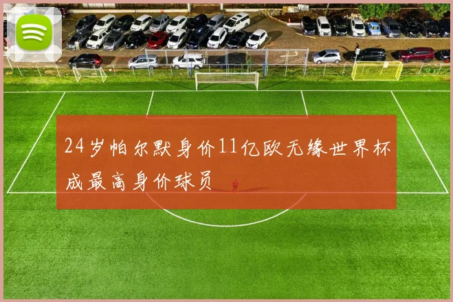 24岁帕尔默身价11亿欧无缘世界杯成最高身价球员