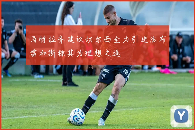 马特拉齐建议切尔西全力引进法布雷加斯称其为理想之选