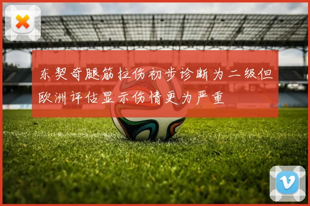 东契奇腿筋拉伤初步诊断为二级但欧洲评估显示伤情更为严重